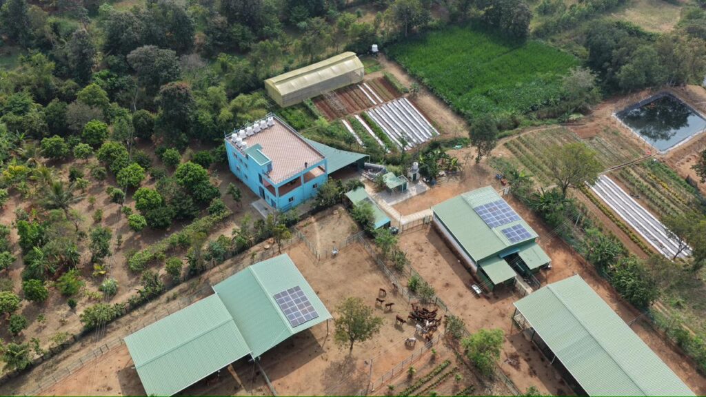 WhatsApp Image 2026-02-19 at 18.40.18 (3)