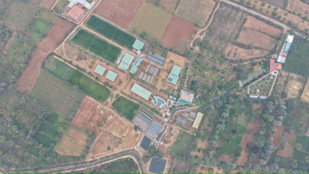 WhatsApp Image 2026-02-19 at 18.40.19 (1)