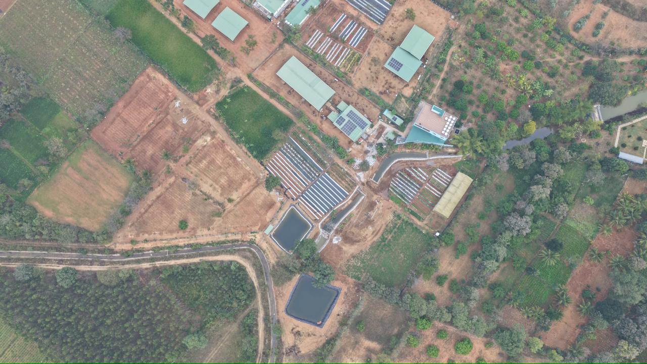Arial view