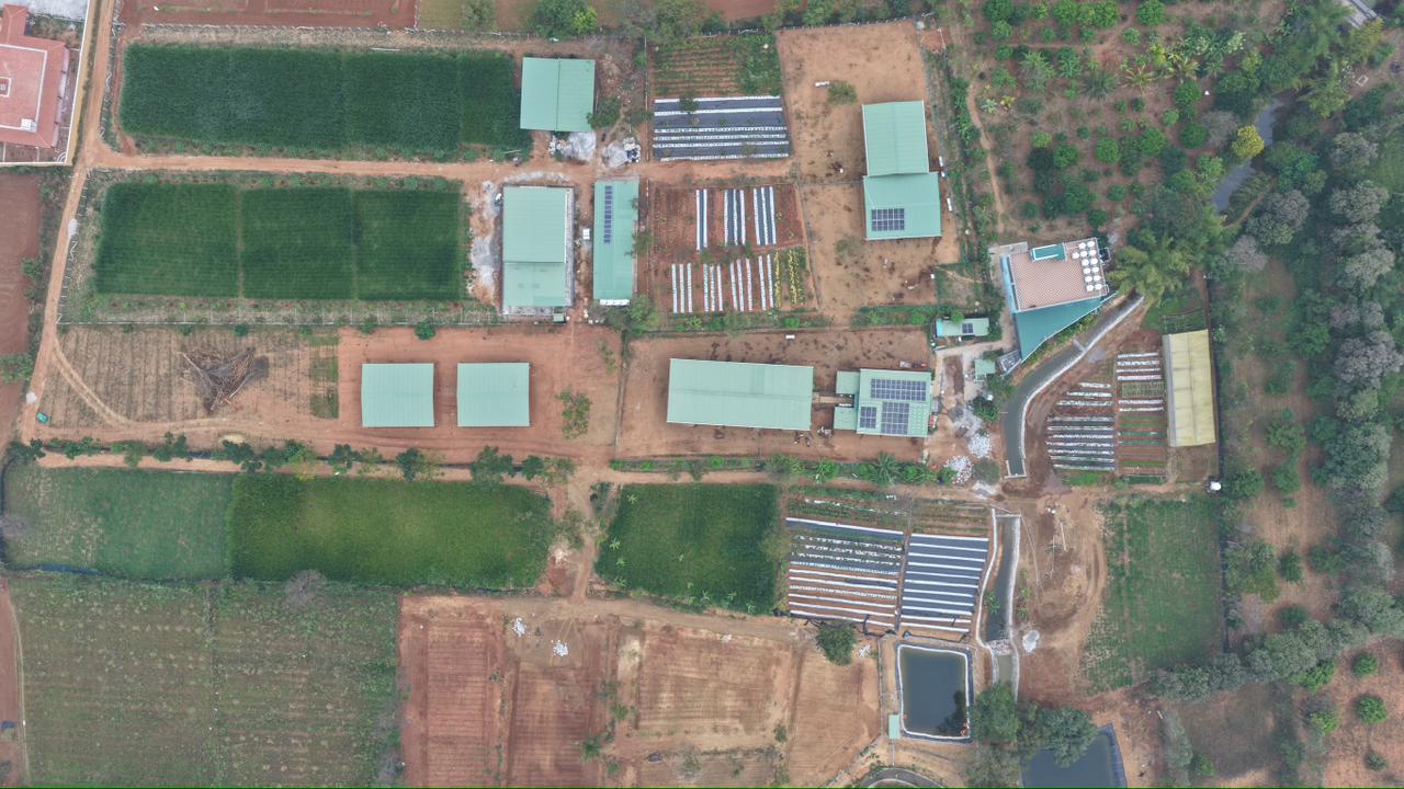 WhatsApp Image 2026-02-19 at 18.40.19 (3)