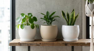 Premium Plant Pots -Barca Round 35 WS / SS/ GS