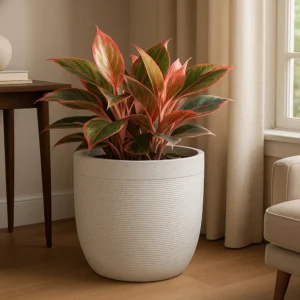 Premium Plant Pots -Milano Short 30 White/ Sand Stone/ Grey