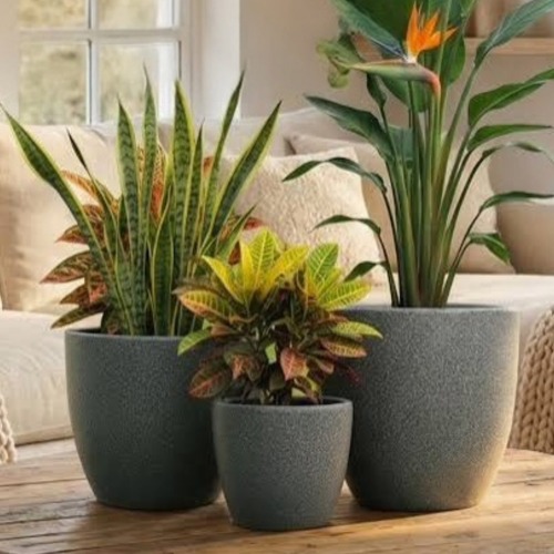 Premium Plant Pots -Ohio 30 WS / SS/ GS