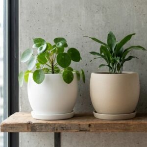 Premium Plant Pots -Barca Round 35 WS / SS/ GS