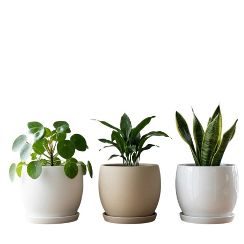 Premium Plant Pots -Barca Round 30 WS / SS/ GS