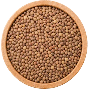 Whole Masoor Dal - 500g