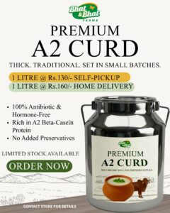Permium A2 Curd- Home delivery-1.5L