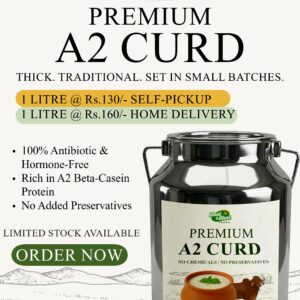 Permium A2 Curd- Home delivery-500 ml