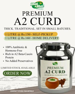 Permium A2 Curd- self pick- 1Liter