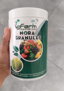 Granule-1 psc