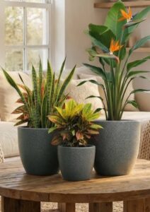 Premium Plant Pots -Ohio 30 WS / SS/ GS