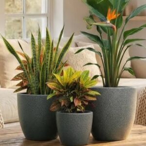 Premium Plant Pots -Ohio 30 WS / SS/ GS
