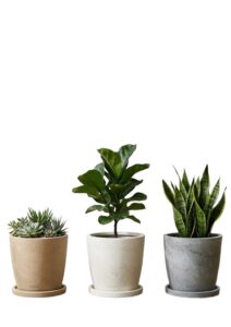 Premium Plant Pots -Quebec 25 Sand Stone / White Stone/  Grey Stone