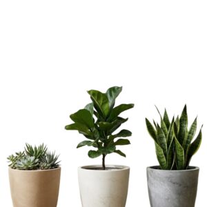 Premium Plant Pots -Quebec 25 Sand Stone / White Stone/  Grey Stone