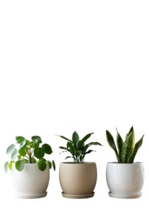Premium Plant Pots -Barca Round 30 WS / SS/ GS