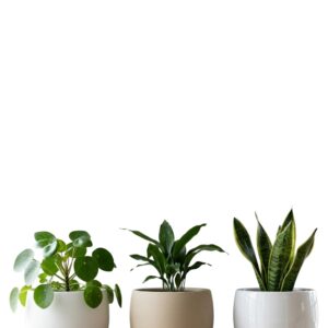 Premium Plant Pots -Barca Round 30 WS / SS/ GS
